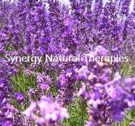 Synergy Natural Therapies photo